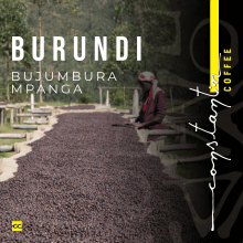 Cafea Boabe De Specialitate Burundi Bujumbura Mpanga