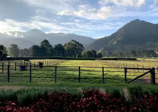 Cafea Boabe De Specialitate Panama Finca Lerida