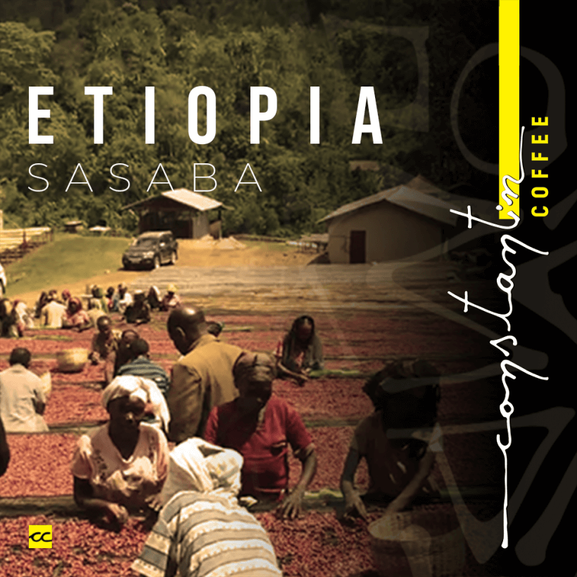 Cafea Boabe De Specialitate Ethiopia Sasaba