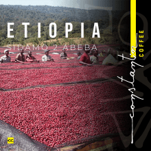 Cafea Boabe De Specialitate Etiopia Sidamo G2 Cafea Boabe De Specialitate Etiopia Sidamo G2