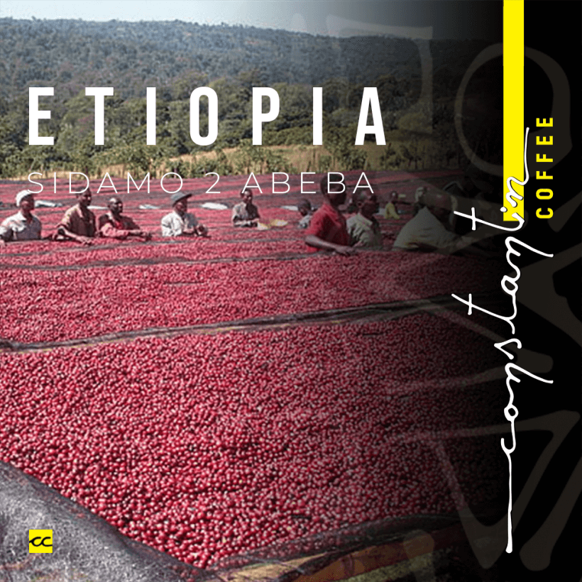 Cafea Boabe De Specialitate Etiopia Sidamo G2 Cafea Boabe De Specialitate Etiopia Sidamo G2