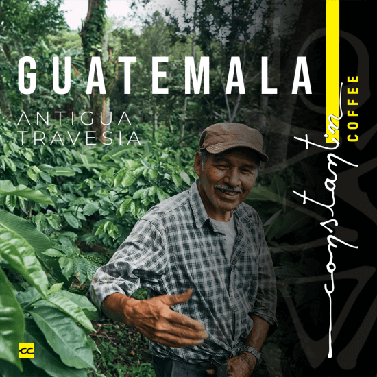 Cafea Boabe De Specialitate Guatemala Ferma Travesia Anaerobic