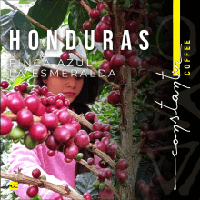 Cafea Boabe De Specialitate Honduras Finca Azul La Esmeralda Cafea Boabe De Specialitate Honduras Finca Azul La Esmeralda