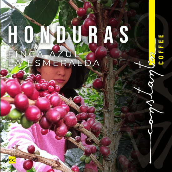 Cafea Boabe De Specialitate Honduras Finca Azul La Esmeralda