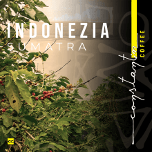 Cafea Boabe De Specialitate Indonezia Sumatra