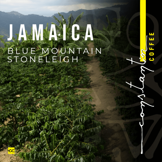 Cafea Boabe De Specialitate Jamaica Blue Mountain