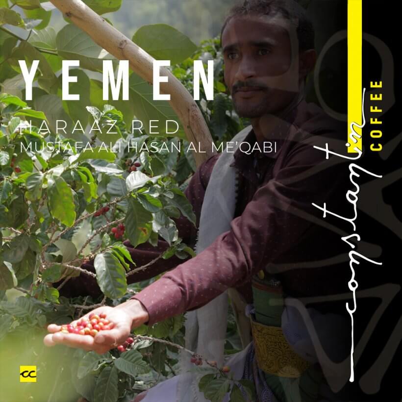 Cafea Boabe De Specialitate Yemen Haraaz Red Mustafa Ali Hasan Al Me'qabi