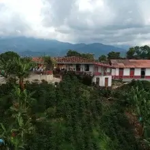 Cafea Boabe De Specialitate Columbia Leonid Ramirez