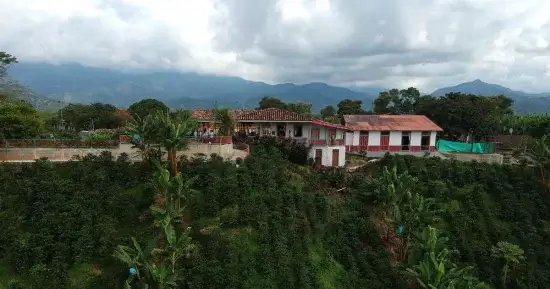 Cafea Boabe De Specialitate Columbia Leonid Ramirez